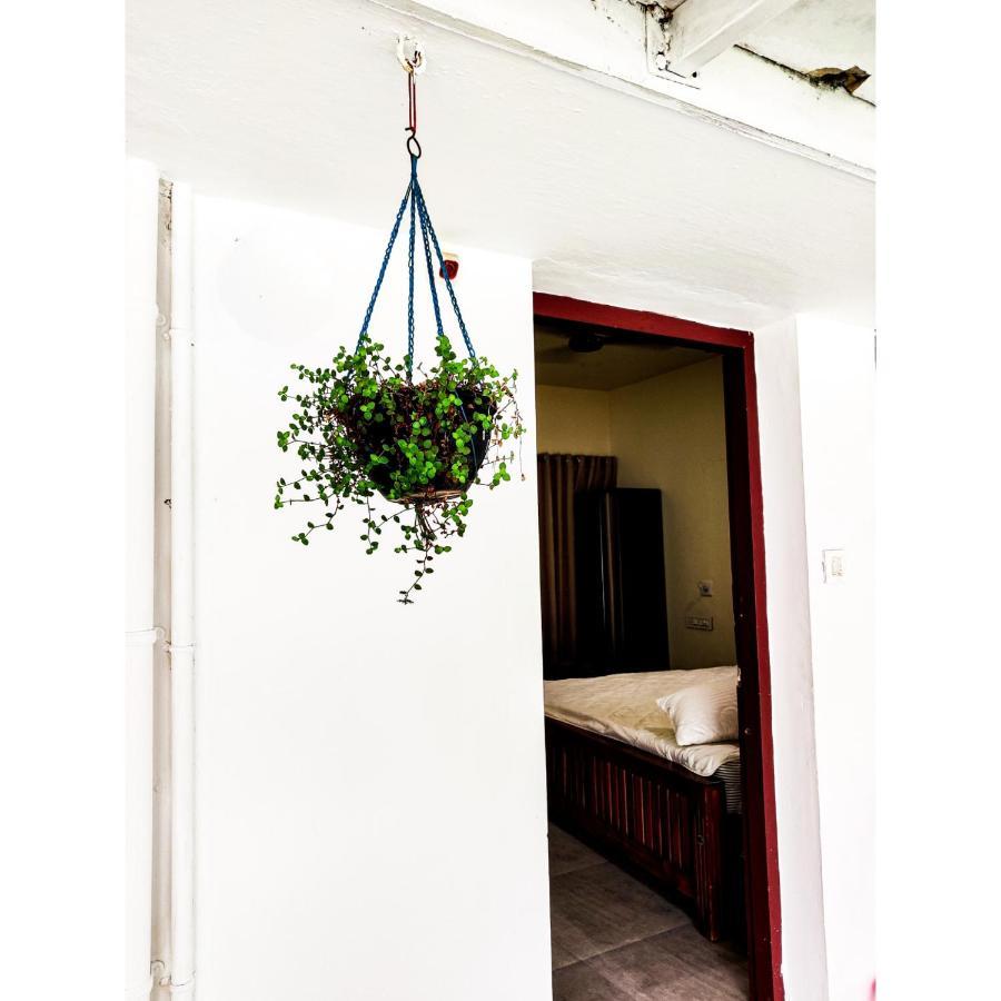 Nature Villa Kochi Alwaye Bagian luar foto